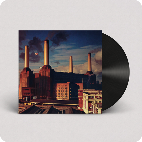 animals (2016 version)