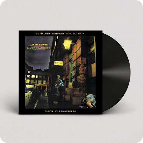 the rise & fall of ziggy stardust