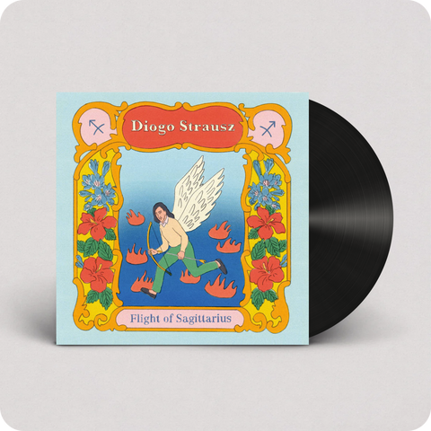 flight of sagittarius